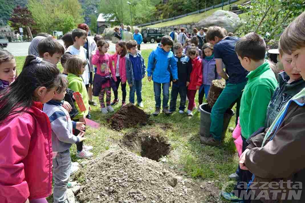 Hône: la festa degli alberi apre la quattro giorni di festa patronale Hône: la festa degli alberi apre la quattro giorni di festa patronale