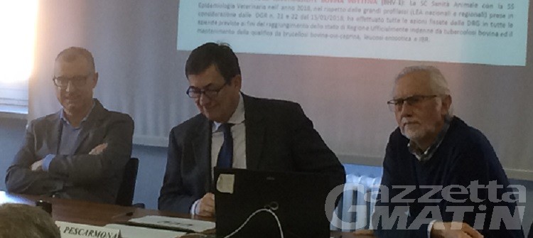 Azienda Usl, nel 2019 il nuovo direttore generale Azienda Usl, nel 2019 il nuovo direttore generale