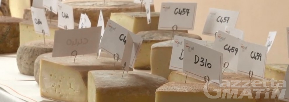 Agroalimentare, un corso per assaggiatori di formaggi Agroalimentare, un corso per assaggiatori di formaggi