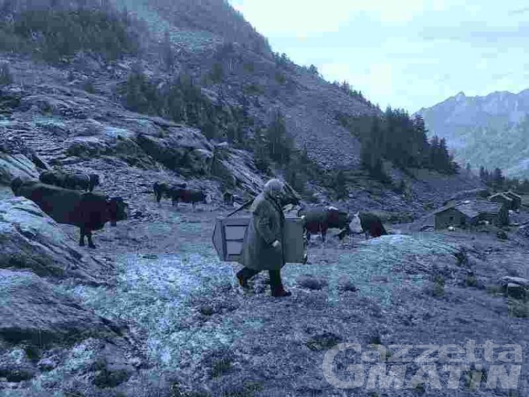 Televisione: Gressoney e cultura Walser a Striscia La Notizia