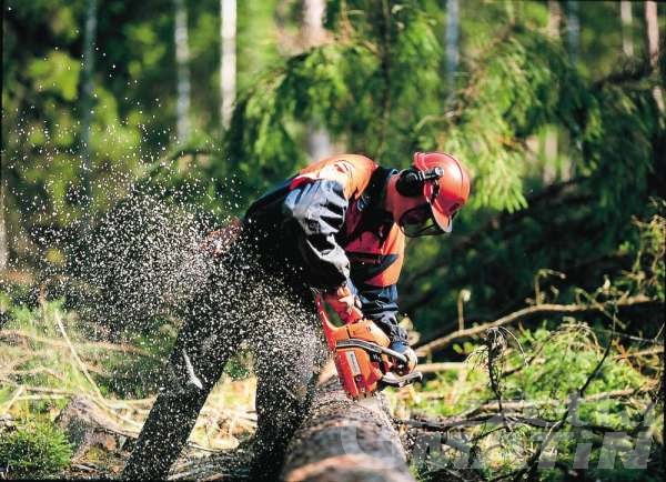 Enti locali: Cpel approva elenco dei lavori forestali, previsti 1.752.000 per il 2021 Enti locali: Cpel approva elenco dei lavori forestali, previsti 1.752.000 per il 2021
