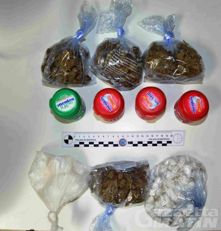 Droga: ‘beccato’ al buio, nella boscaglia, con 250 grammi di cocaina, arrestato
