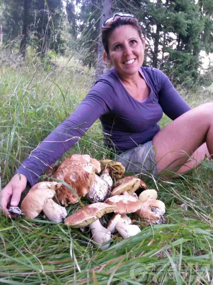 Micologia: nei boschi quantità di funghi da guinness