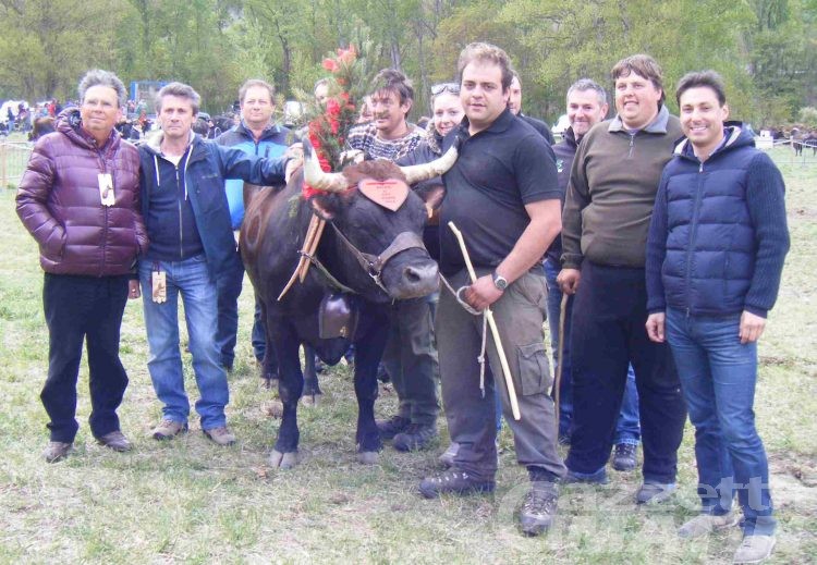 Batailles: Bandit, Tangò e Moureun regine di Pasquetta a Fénis