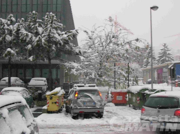 Aosta: neve pesante schianta alberi in collina