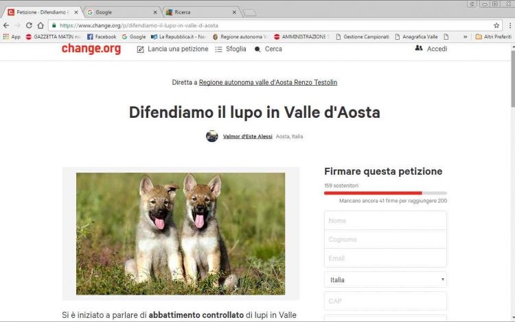 Lupi in Valle d’Aosta: petizione contro l’ipotesi di abbattimento controllato