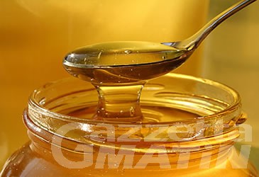 E’ valdostano il miele di millefiori più buono d’Italia