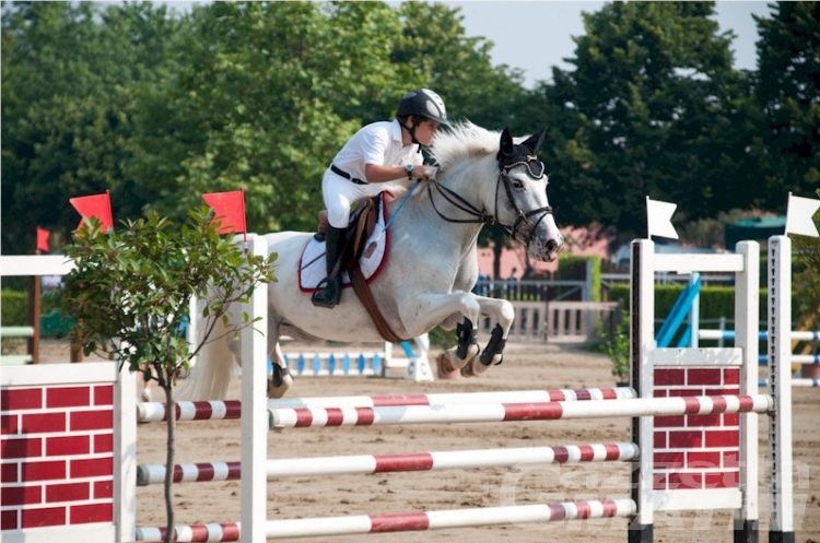 Equitazione: François Spinelli in evidenza a Tortona
