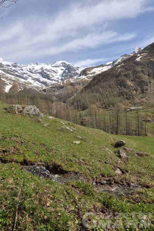 Luoghi del Cuore, il Fai interviene sull’Alpe Cortlys