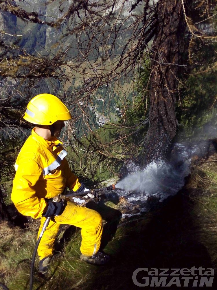 Siccità, aumenta pericolo incendi boschivi
