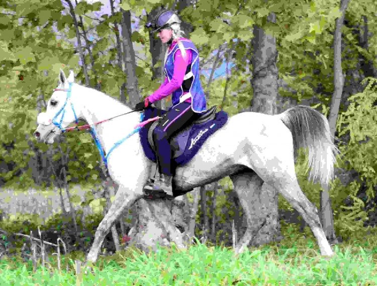 Equitazione: Stefania Marchiano decima nell’endurance di Sacile