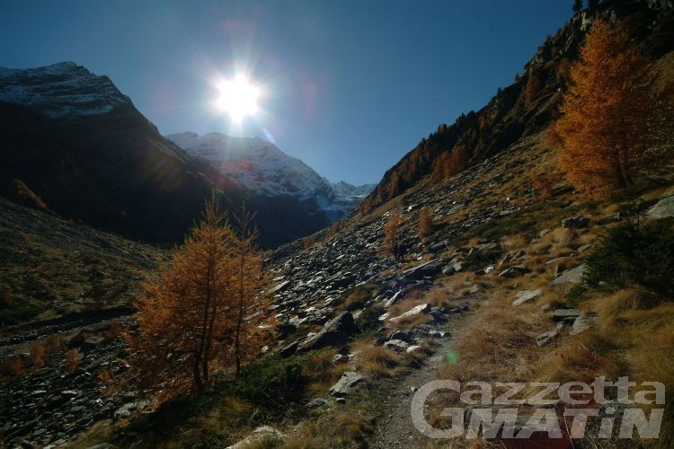 Televisione: il Parco nazionale del Gran Paradiso protagonista di Geo & Geo