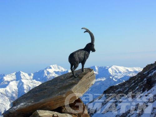 Legge parchi: sindaci Uv rispondono a ambientalisti