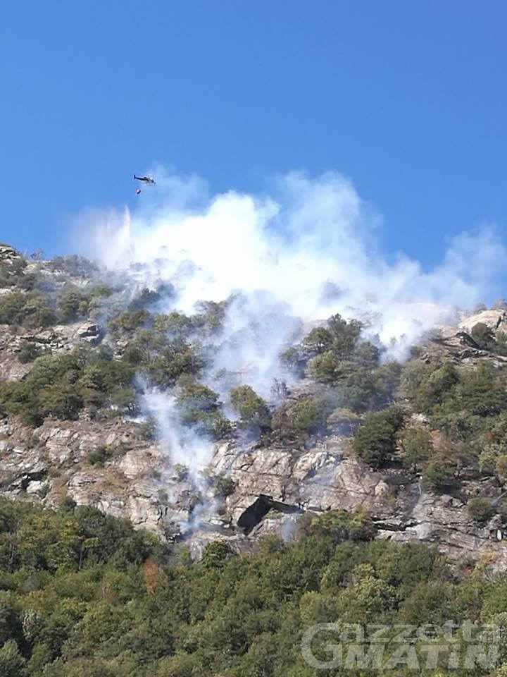 Incendi: va a fuoco bosco nel comune di Donnas