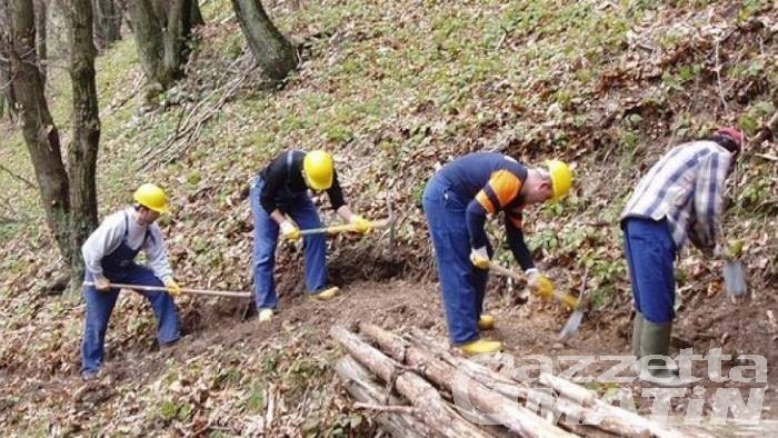 Operai forestali: 350 nuove assunzioni per 150 giorni di lavoro
