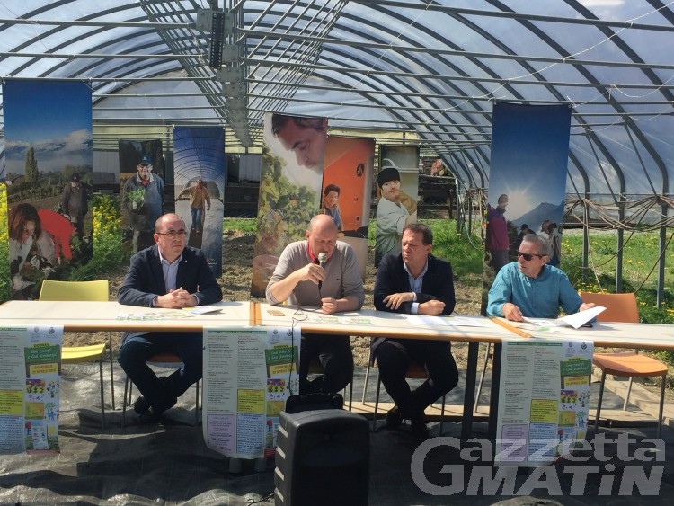 Donnas: fiera dedicata a orti e pollai con street food valdostano