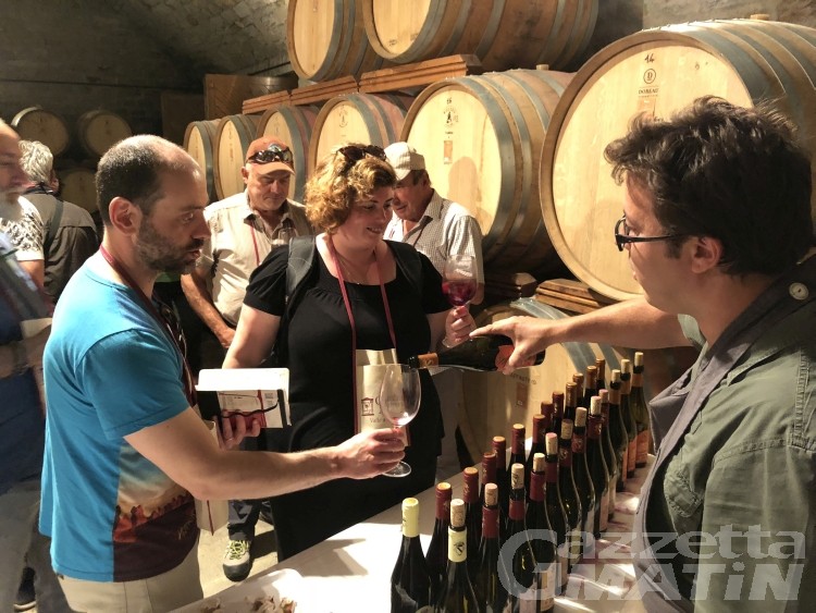 Cantine Aperte: cultura del vino sempre più attenta