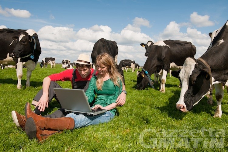 Slow Food, dalla condotta di Aosta 2.000 euro per i giovani agricoltori Slow Food, dalla condotta di Aosta 2.000 euro per i giovani agricoltori