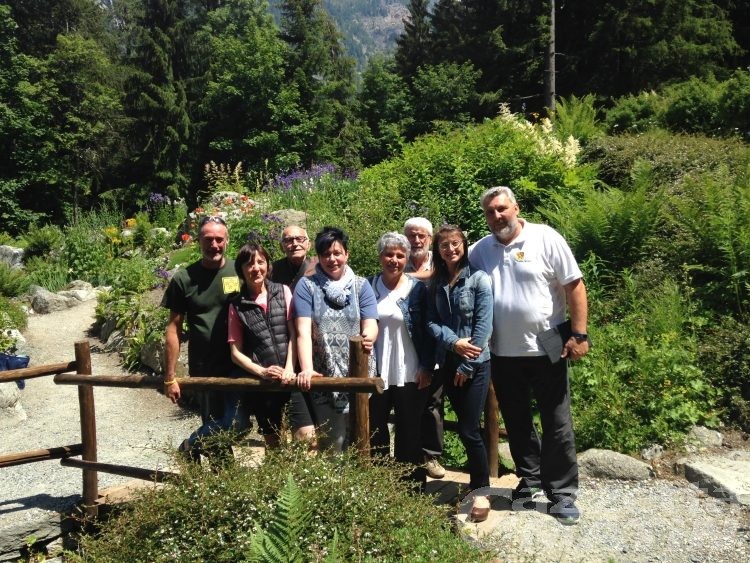 A Gressoney-Saint-Jean piante e fiori di montagna