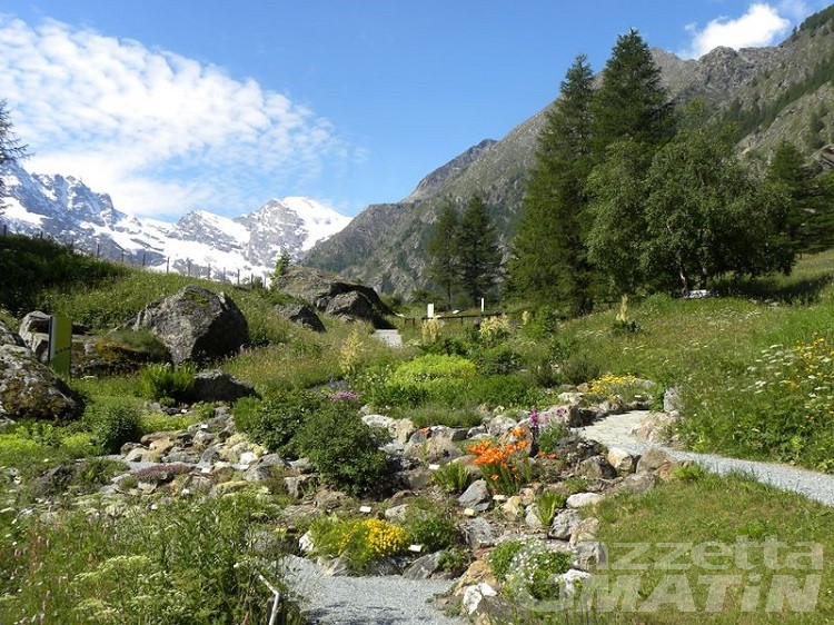 Gran Paradiso, riaprono i siti naturalistici Gran Paradiso, riaprono i siti naturalistici
