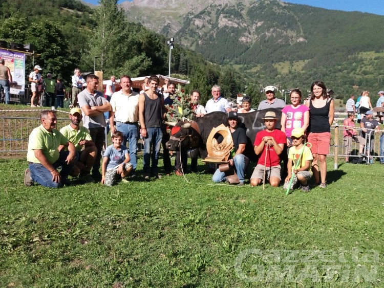 Batailles de Reines, ripresa con contestazioni