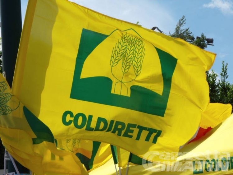 Coldiretti, appello ai futuri parlamentari: «difendete l’agricoltura di montagna» Coldiretti, appello ai futuri parlamentari: «difendete l’agricoltura di montagna»