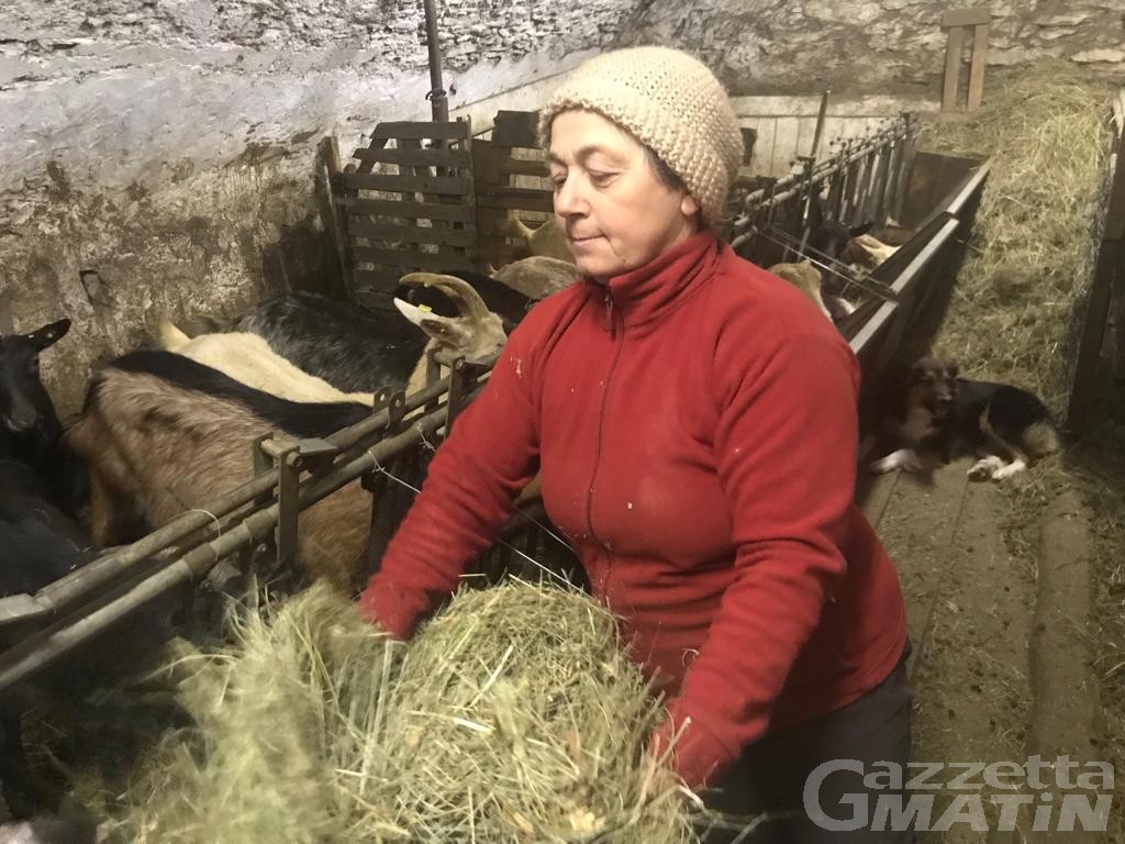 Agroalimentare: contadina riscopre i fagioli e le fave di Nus Agroalimentare: contadina riscopre i fagioli e le fave di Nus