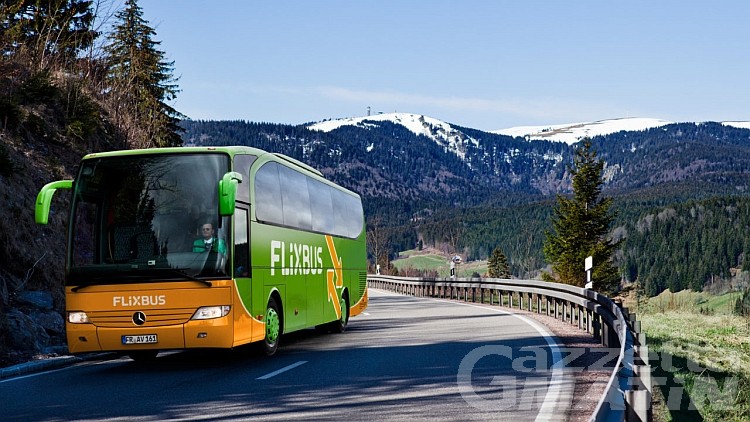 Elezioni politiche: viaggio gratis con FlixBus per andare a votare Elezioni politiche: viaggio gratis con FlixBus per andare a votare