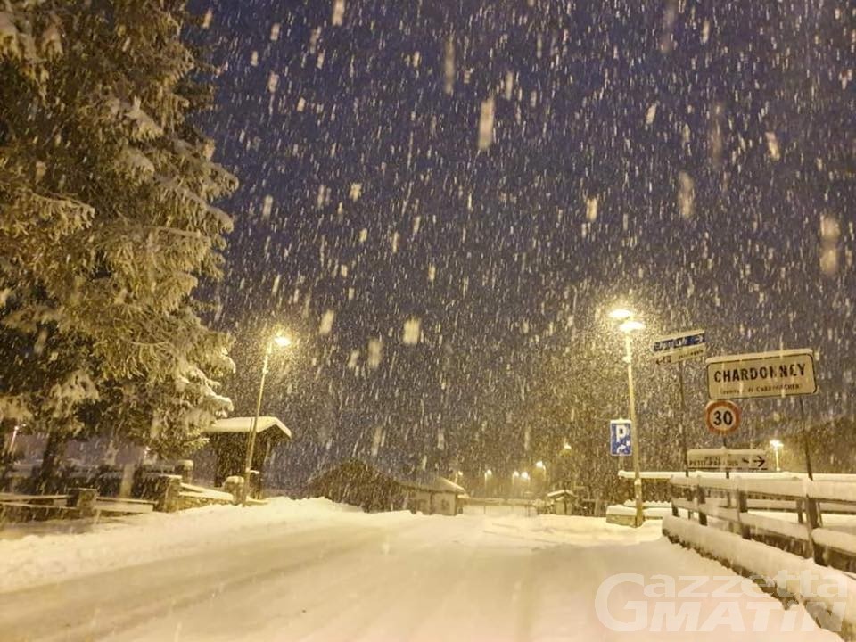 Maltempo: piante cadute e corrente saltata per le forti precipitazioni