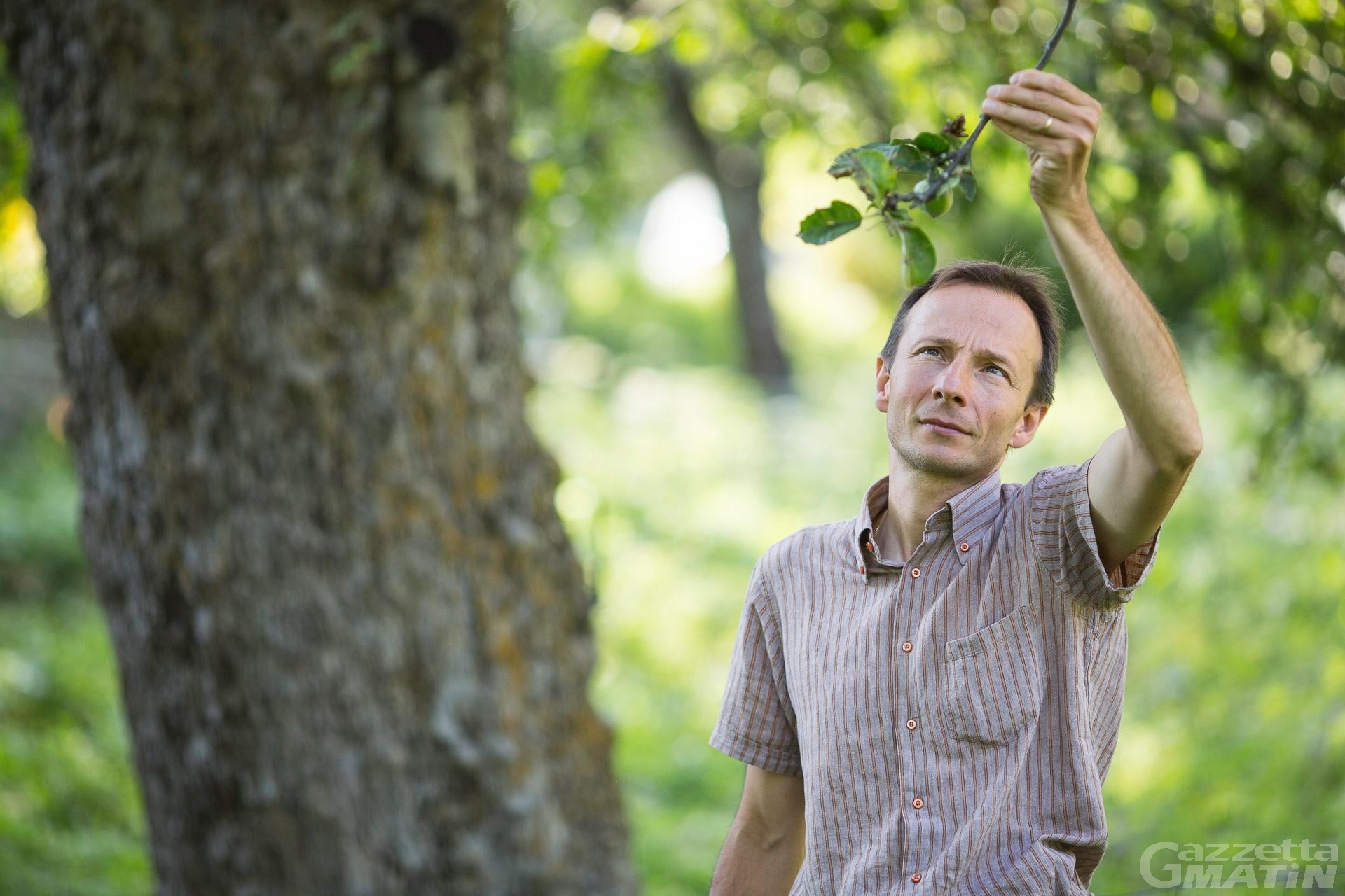 Aziende: Maley bissa l’oro al Cider World Award 2020 di Francoforte Aziende: Maley bissa l’oro al Cider World Award 2020 di Francoforte