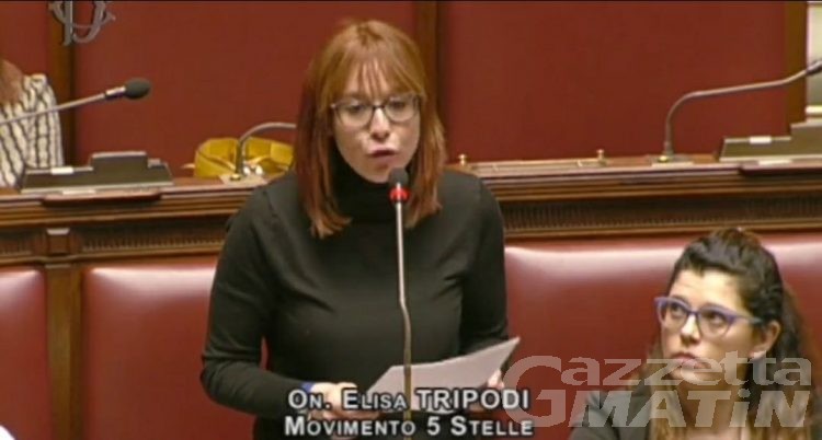 M5S-Pcp e Adu: «Ddl Concorrenza attacca l’autonomia degli Enti locali»
