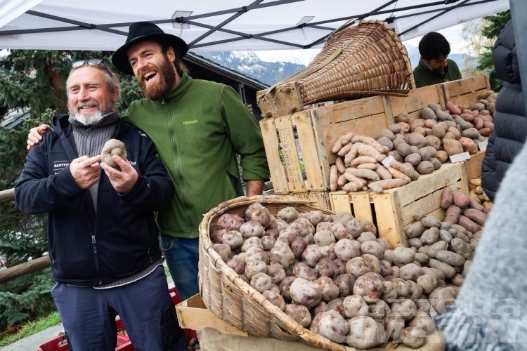 Agricoltura: la patata Verrayes è il nuovo Presidio Slow Food