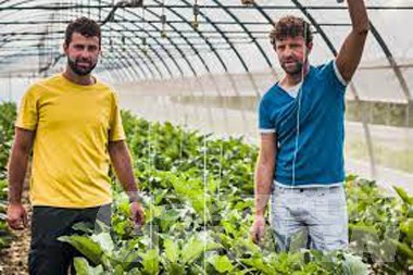 Abuso edilizio: sequestrati capannoni azienda agricola sindaco di Fénis Abuso edilizio: sequestrati capannoni azienda agricola sindaco di Fénis
