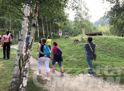 Zona arancione: possono riaprire i parchi zoologici e faunistici Zona arancione: possono riaprire i parchi zoologici e faunistici