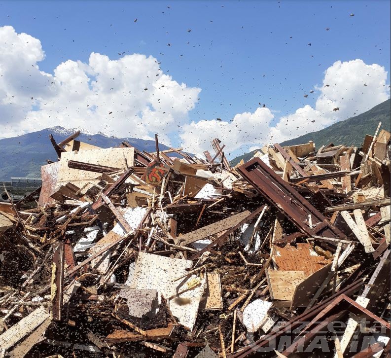 Brissogne, discarica invasa dalle api: grave rischio di infezione Brissogne, discarica invasa dalle api: grave rischio di infezione