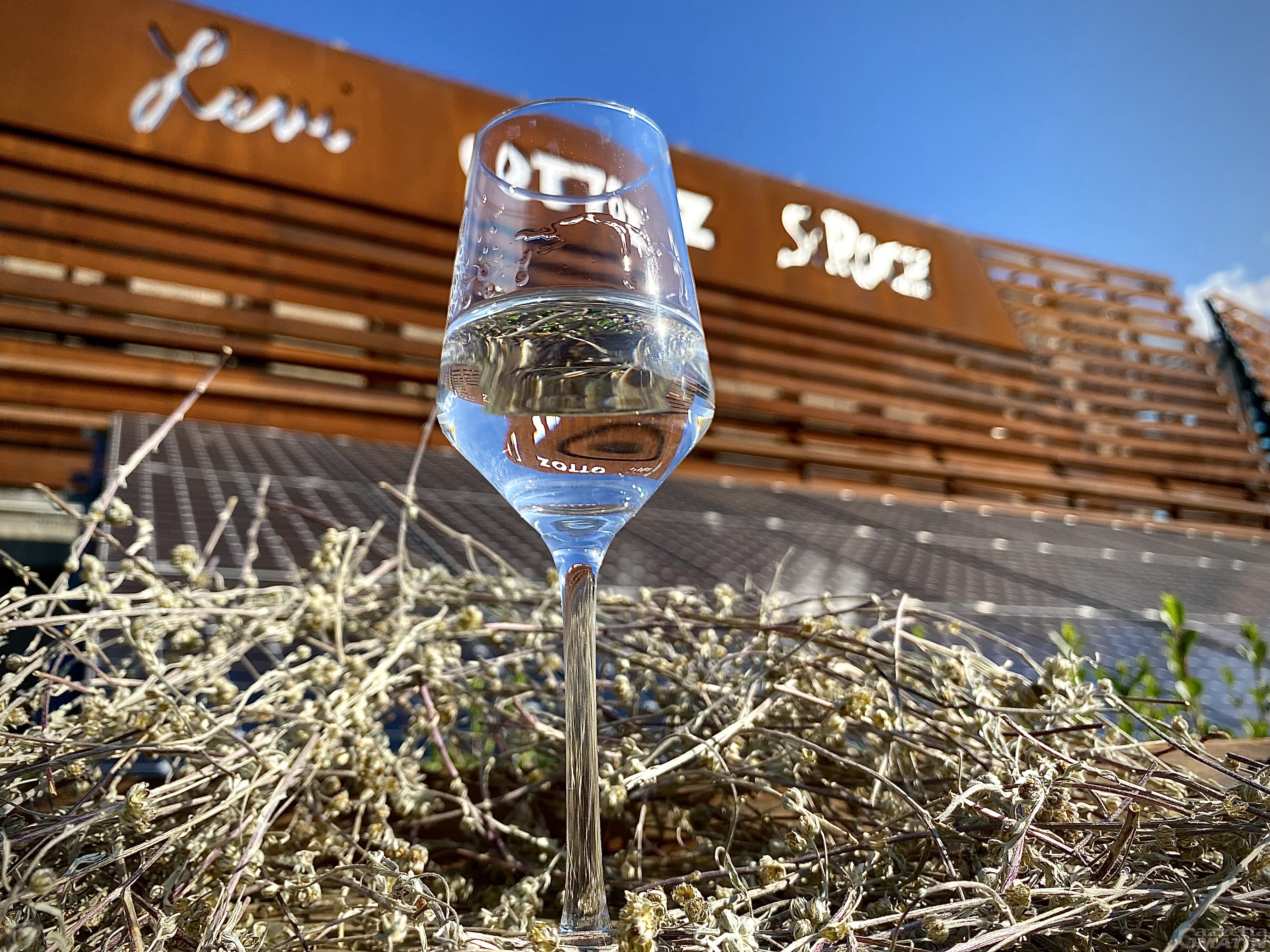 Arriva l'”evoluzione” del Génépy IG della Valle d’Aosta, è il BLANC delle Distillerie Saint Roch Arriva l'”evoluzione” del Génépy IG della Valle d’Aosta, è il BLANC delle Distillerie Saint Roch