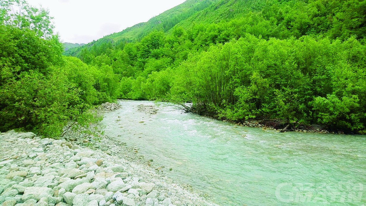Courmayeur: Legambiente lancia una petizione per dire no alla centralina in Val Ferret Courmayeur: Legambiente lancia una petizione per dire no alla centralina in Val Ferret