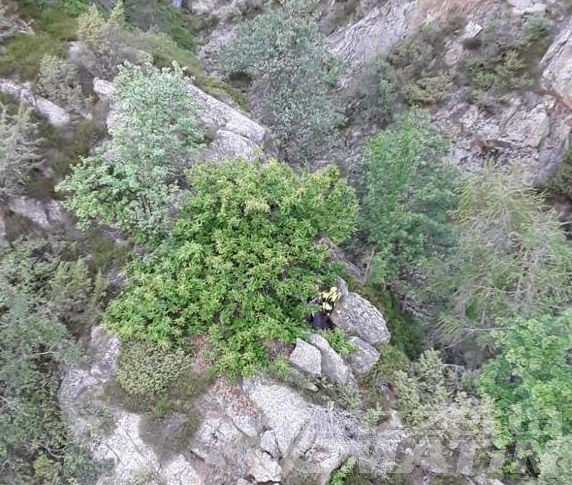 Fontainemore: ritrovato vivo e in buone condizioni l’anziano scomparso Fontainemore: ritrovato vivo e in buone condizioni l’anziano scomparso
