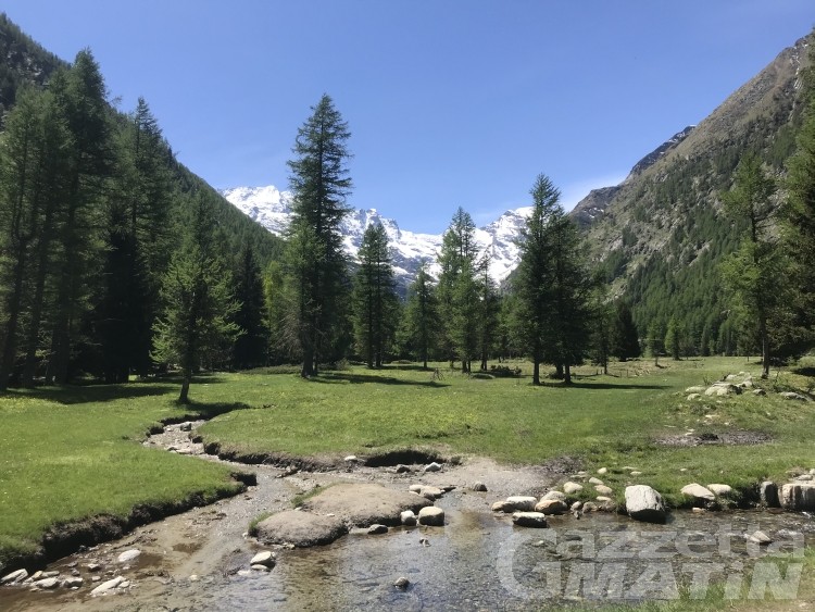 Cogne scommette tutto su natura e outdoor per l’estate 2021 Cogne scommette tutto su natura e outdoor per l’estate 2021