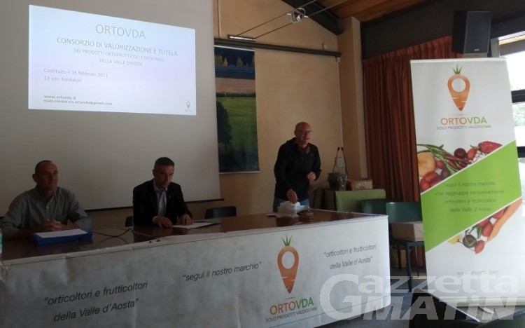 Ortofrutta in Valle d’Aosta: è nato il Consorzio dei produttori Ortofrutta in Valle d’Aosta: è nato il Consorzio dei produttori