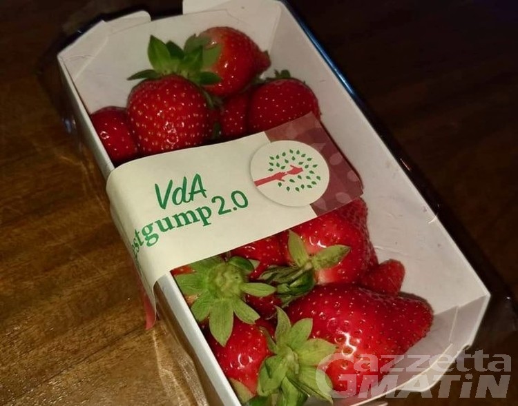 Furto di fragole ai ragazzi disabili, parte la solidarietà con l’acquisto del cestino virtuale