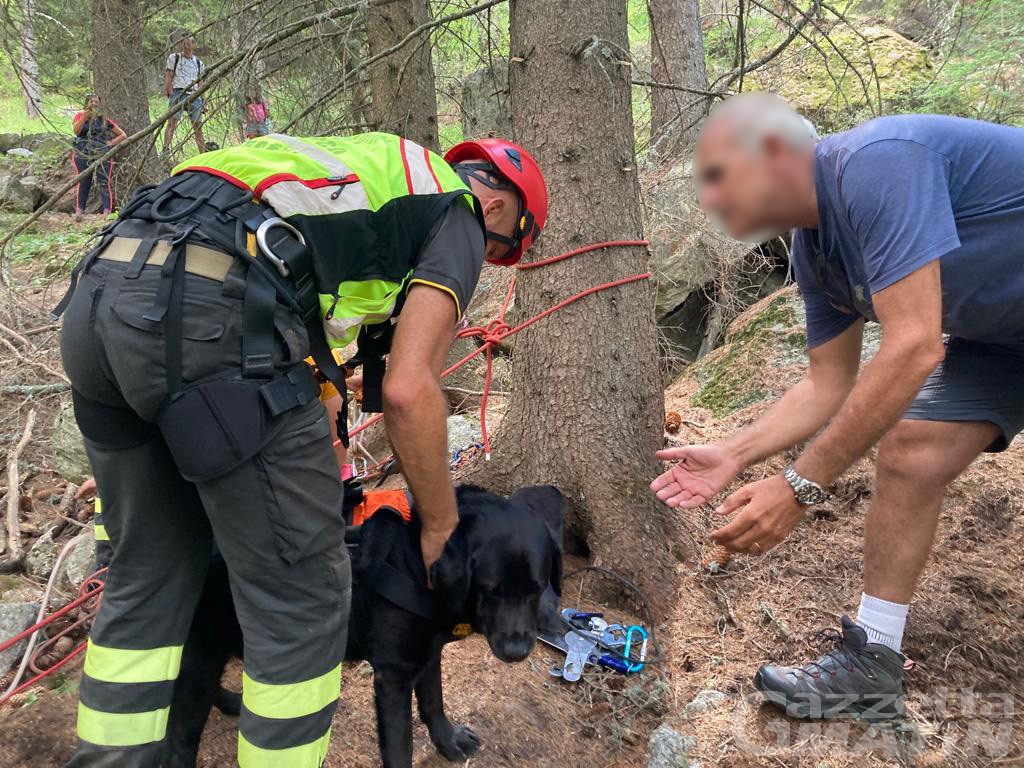 Cogne, cane cade nel torrente: tratto in salvo dai vigili del fuoco Cogne, cane cade nel torrente: tratto in salvo dai vigili del fuoco