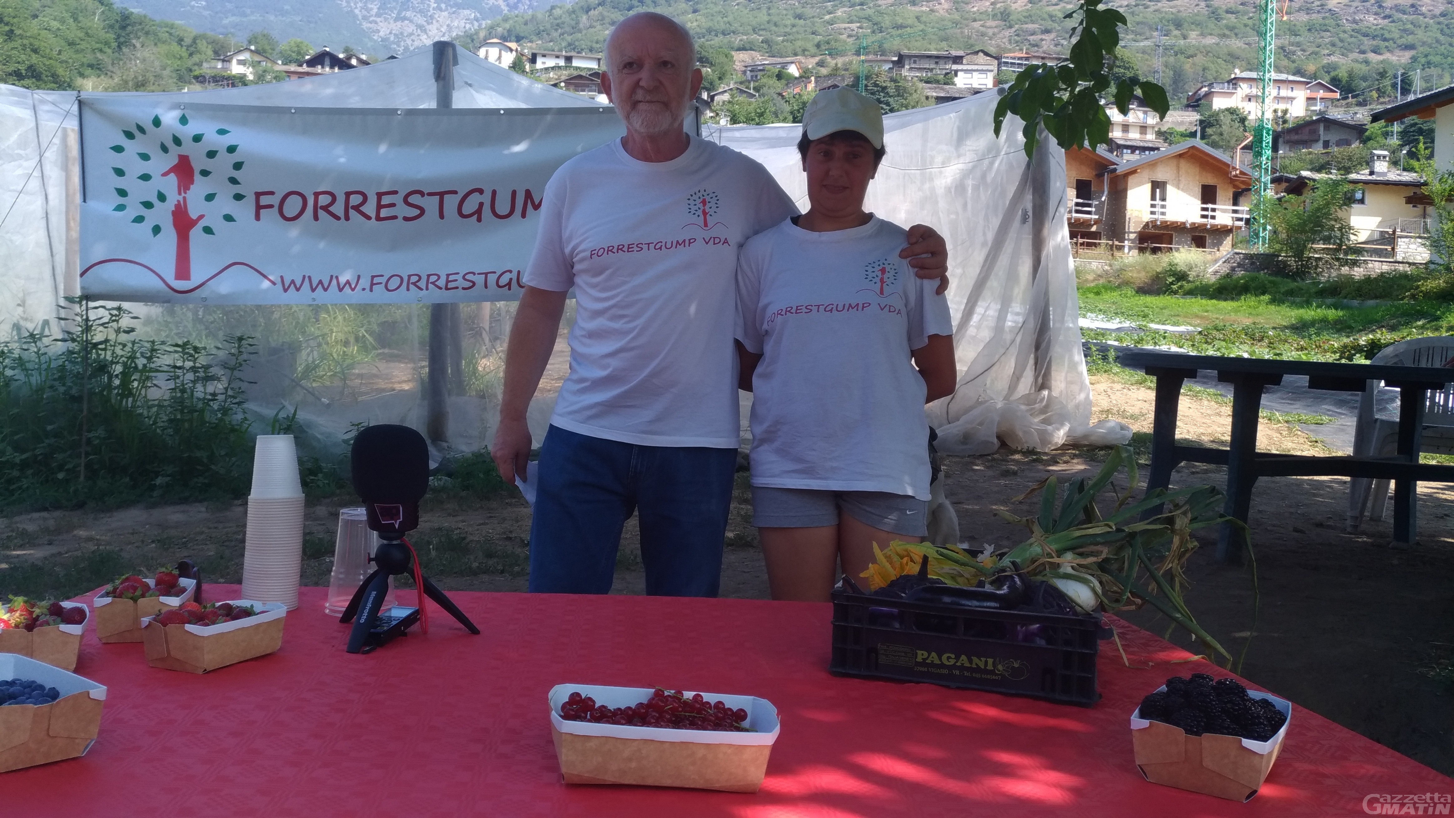 Furto di fragole: raccolti 30 mila euro per l’associazione Forrestgump Furto di fragole: raccolti 30 mila euro per l’associazione Forrestgump