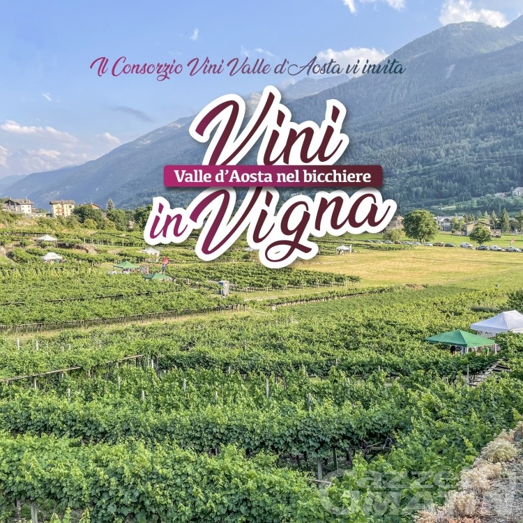 Vini in Vigna torna nell’estate 2022 con il Consorzio Vini Valle d’Aosta