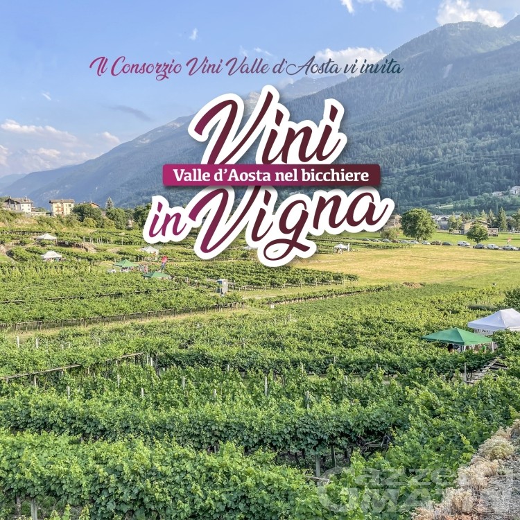 Vini in Vigna torna nell’estate 2022 con il Consorzio Vini Valle d’Aosta Vini in Vigna torna nell’estate 2022 con il Consorzio Vini Valle d’Aosta