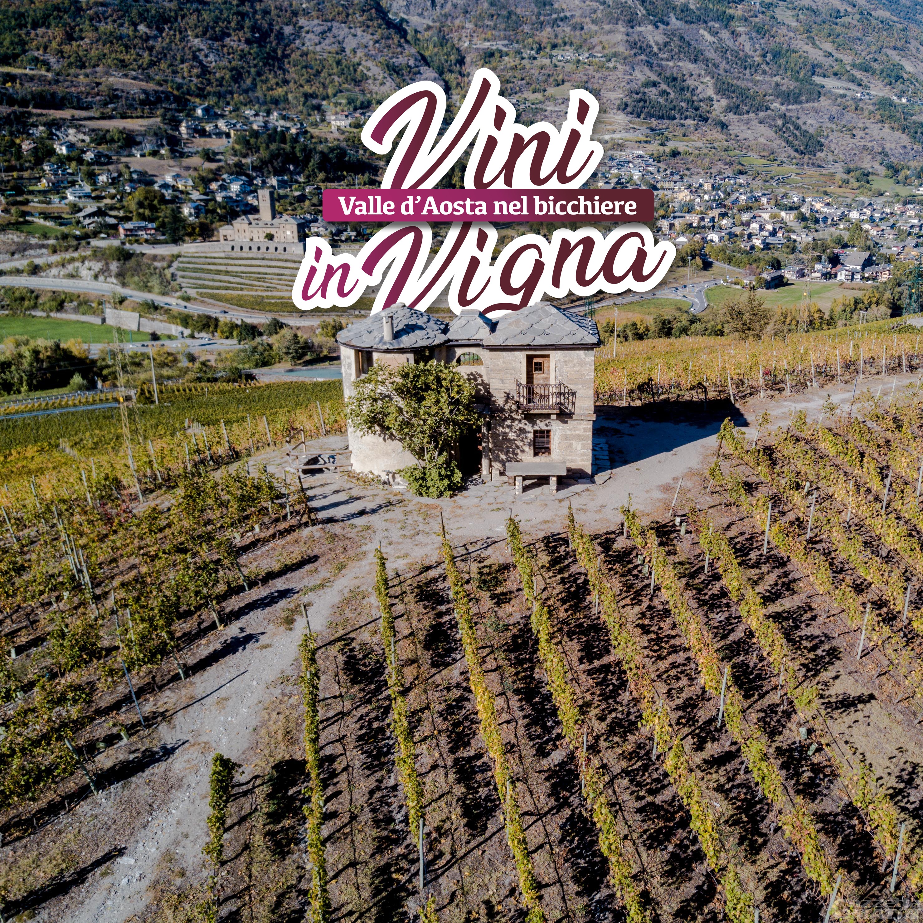 Vini in Vigna: appuntamento per l’estate valdostana con il Consorzio Vini Valle d’Aosta