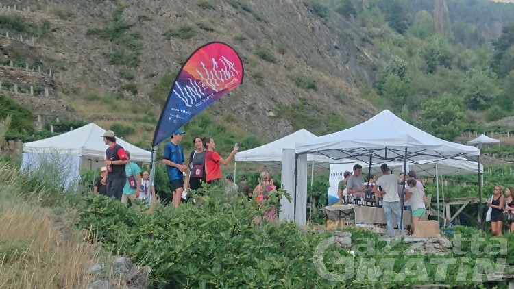 Vini in Vigna, tra i filari di Aymavilles oltre 200 etichette del territorio Vini in Vigna, tra i filari di Aymavilles oltre 200 etichette del territorio