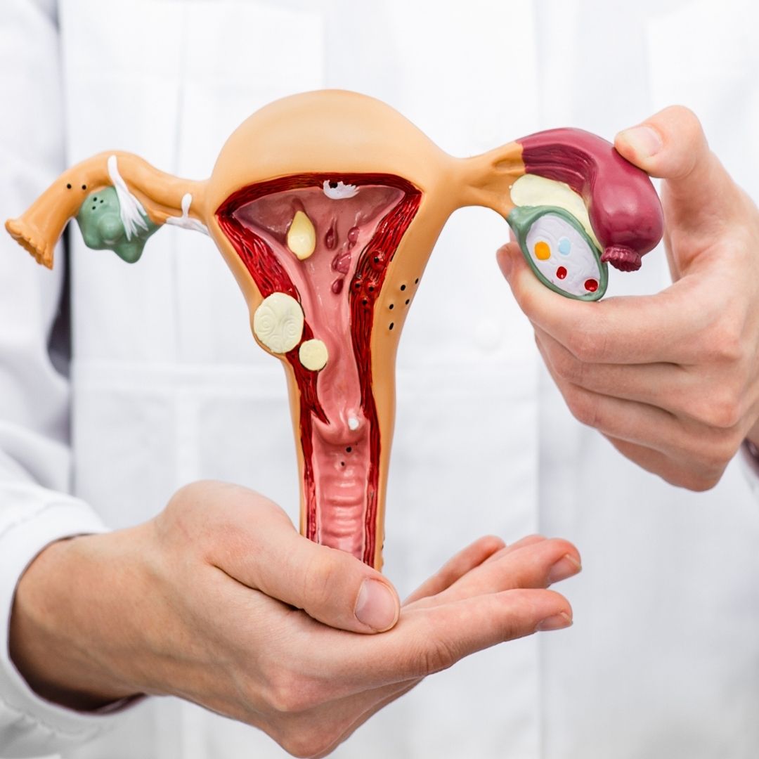 Lega e FI depositano una proposta di legge sull’endometriosi Lega e FI depositano una proposta di legge sull’endometriosi