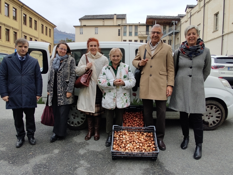 Aosta: 3 mila bulbi di Messer Tulipano in dono al Comune