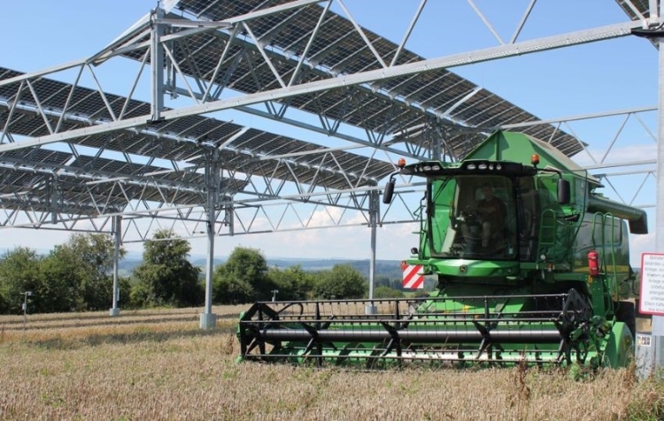 Green Energy: Cva e Gruppo BF insieme per il più grande progetto di agrovoltaico in Italia